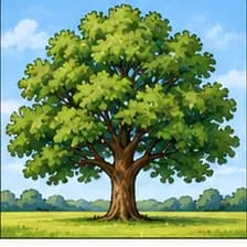 Baum — ծառ