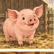 Schwein — խոզ