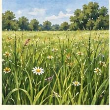 Gras — grass
