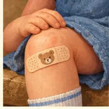 Knie — knee