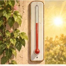 Temperatur — ջերմաստիճան