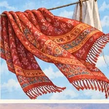 Tuch — cloth