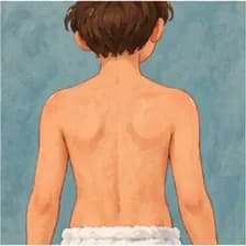 back — پشت