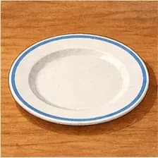 dish — ظرف