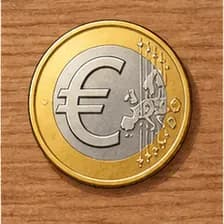 euro — Euro