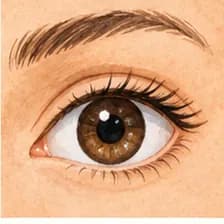 eye — աչք