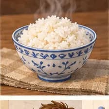 rice — برنج