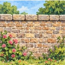 wall — պատ