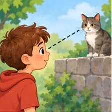 look — نگاه کردن