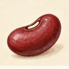 bean — Bohne