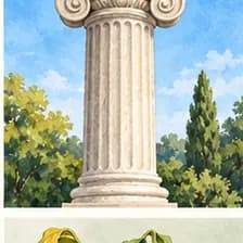 column — ستون