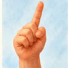 finger — Finger