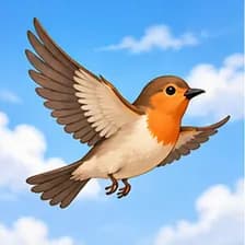 flying — در حال پرواز