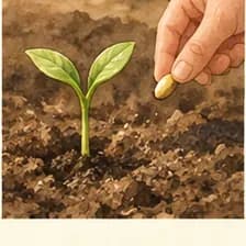 plant — کاشتن