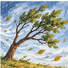 wind — քամի