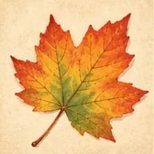 leaf — برگ
