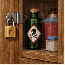 poison — to harm or kill a person or animal with poison