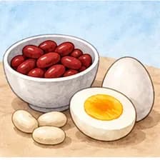 protein — սպիտակուց