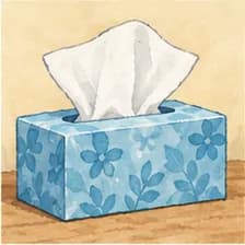 tissue — Gewebe