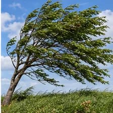 Wind — باد