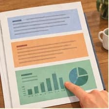Segment — segment; section