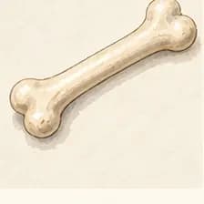 bone — ոսկոր